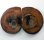 (image for) Good Price Very Beautiful Natural Artwork Fossil 2 pcs/1 pair Ammonite 69 gram Sawn Polished Half´s Interesting Exciting Collectible Item from Morocco Buy Now!