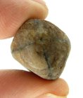 (image for) Good Price High Interesting Rough Uncut Genuine Cross Stone (Andalusite) 47,15 Carat Natural Cross Pattern Nodule Piece Interesting Rare Collector's Stone from Brazil Buy Now!