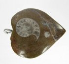 Bra Pris Unikt Smycke Fossil Ammonit i Matrix 12,70 gram Polerat Hänge med Ögla från Marocko Köp Nu!