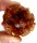 (image for) Good Price Very Beautiful Reddish Brown Aragonite 60,8 grams Natural Crystal Cluster in Wonderful Shape & Color Good Quality Interesting Collectible from Morocco Buy Now!
