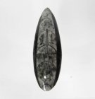 Bra Pris Unikt Smycke Fossil Marmorerad Ortoceratit 14,85 gram Polerat Hänge med Hål från Marocko Köp Nu!