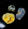 (bild för) Bra Pris Parti 3 st Rå Oslipad Fin Solid Opal 14,14 carat Naturlig Kristall/Bit Bra Lyster & Kvalitet från Lightning Ridge Australien Köp Nu!