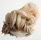 (image for) Good Price Very Nice Cerussite Crystal´s with Baryte 62 gram Collector´s Piece from Morocko Purchase Now!