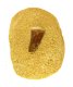 (image for) Good Price Very Exciting Finely Shaped Tooth from Mosasaurus 122 grams Embedded in Porous Sandstone High Interesting Collectible Item from Morocco Buy Now!