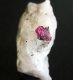 (image for) Good Price Rare Red Ruby Crystal in Matrix 19 gram from Mogok Burma Purchase Now!