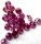 (image for) Good Price Parcel Natural Purple Pink Diamond Tot.1,00 carat Calibrated 0,06 ct/pcs Brilliant 2,50 mm Quality SI Purchase Now!