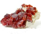 (bild för) Bra Pris Sällsynt Mycket Vacker Stora Kristaller Vanadinit 182 gram Naturliga Kristaller på Matrix Samlar Mineral från Mibladen Marocko Köp Nu!