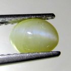 (image for) Good Price Beutiful Very Rare Chrysoberyl Catseyé 1,31 carat Oval Cabochon Cut Collectors Stone Sharp Eye from Sri Lanka Purchase Now!