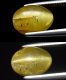 (bild för) Bra Pris Mycket Fin Intressant Gul Grön Apatit Kattöga 3,11 carat Oval Cabochon Slipning från Afrika Köp Nu!