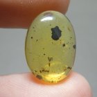 Bra Pris Mycket Sällsynt Burmit med Insekt 2,05 carat Oval Cabochon Världens Äldsta Bärnsten fr Burma Köp Nu! (bild för) Bra Pris Mycket Sällsynt Burmit med Insekt 2,05 carat Oval Cabochon Världens Äldsta Bärnsten fr Burma Köp Nu!
