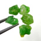 (image for) Good Price Parcel 5 pcs Very Rare Vivid Green Tsavorite Garnet 6,14 carat Natural Crystal Top Quality from Tanzania Purchase Now!