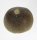 (image for) Good Price Exciting Finely Shaped Tooth from Mosasaur 12.75 grams High Interesting Collectible Item from Morocco Buy Now!
