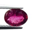(bild för) Bra Pris Mycket Fin Rosa Röd Rubellit (Turmalin) 0,66 carat Oval Fasett Slipning Bra Kvalite & Färg Perfekt Samlar & Juvelerar Objekt från Afrika Köp Nu!