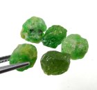 (image for) Good Price Parcel 5 pcs Very Rare Vivid Green Tsavorite Garnet 12,59 carat Natural Crystal Top Quality from Tanzania Purchase Now!
