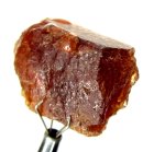 (bild för) Bra Pris Stor Obehandlad Mycket Fin Orange Brun Spessartit Granat 63,43 carat Naturlig Kristall/Brottstycke från Afganistan Köp Nu!