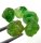 (image for) Good Price Parcel 5 pcs Very Rare Vivid Green Tsavorite Garnet 11,52 carat Natural Crystal Top Quality from Tanzania Purchase Now!