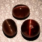 Good Price Parcel 3 pcs Perfect Beutiful Sillimanite Cat Eye 6,37 carat Oval Cabochon in Top Quality Purchase Now! (image for) Good Price Parcel 3 pcs Perfect Beutiful Sillimanite Cat Eye 6,37 carat Oval Cabochon in Top Quality Purchase Now!
