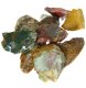 (image for) Good Price Parcel 10 pcs Rough Uncut Untreated Interesting Multicolour Mix Jasper 40 grams Natural Fragments Pieces Very Fine Quality & Color from Africa Buy Now!