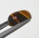 (image for) Good Price Very Nice Tiger´seye 1,47 carat Oval Cabochon Good Quality & Colour´s Pattern from India Purchase Now!