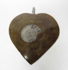 Bra Pris Unikt Smycke Fossil Ammonit i Matrix 11,45 gram Polerat Hänge med Ögla från Marocko Köp Nu!