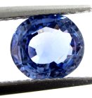 (bild för) Bra Pris Mycket Sällsynt Obehandlad Intensiv Blåklintsblå Safir 1,53 carat Oval (Semi-Rund) Slipning Finaste Färg & Kvalitet från Sri Lanka Köp Nu!