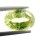 (image for) Good Price Nice Quality Neon Yellowgreen Chrysoberyl 2,41 carat Oval Cut Super Fine Luster & Colour from Africa Purchase Now!