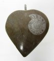 Bra Pris Unikt Smycke Fossil Ammonit i Matrix 12,20 gram Polerat Hänge med Ögla från Marocko Köp Nu!