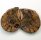 (image for) Good Price Very Beautiful Natural Artwork Fossil 2 pcs/1 pair Ammonite 30 gram Sawn Polished Half´s Interesting Exciting Collectible Item from Morocco Buy Now!