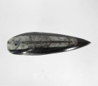 (bild för) Bra Pris Unikt Smycke Fossil Marmorerad Ortoceratit 8,15 gram Polerat Hänge med Hål från Marocko Köp Nu!