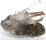 (image for) Good Price Exciting Beautiful Collection Rock Crystal with Hematite 357 grams Natural Cluster Terminated Crystals Beautifully Shaped Hematite Interesting Collectable Stuff from Africa