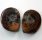 (image for) Good Price Very Beautiful Natural Artwork Fossil 2 pcs/1 pair Ammonite 44 gram Sawn Polished Half´s Interesting Exciting Collectible Item from Morocco Buy Now!