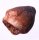 (image for) Good Price Exciting Finely Shaped Tooth from Mosasaur 8,25 grams High Interesting Collectible Item from Morocco Buy Now!