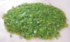 (image for) Good Pris Very Big Parcel Pakistan Uncut Peridot 2700 carat Natural Crystal Nice Olive Green Colour & Fine Quality Purchase Now!