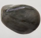 (bild för) Bra Kvalitet Trumlad Heliotrop Jaspis 6-8 gram Fin Färg och Mönster