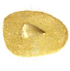 (bild för) Bra Pris Mycket Spännande Fint Formad Tand från  Mossasaurie 114 gram Inbäddad i Porös Sandsten Hög Intressant Samlar Objekt från Marocko Köp Nu!