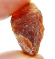 (bild för) Bra Pris Stor Obehandlad Mycket Fin Orange Brun Spessartit Granat 61,94 carat Naturlig Kristall/Brottstycke från Afganistan Köp Nu!