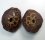 (image for) Good Price Very Beautiful Natural Artwork Fossil 2 pcs/1 pair Septarian Nodul 322 grams Sawn Polished Half´s Interesting Exciting Collectible Item from Morocco Buy Now!