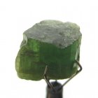 Bra Pris Rå Oslipad Grön Turmalin 10,71 carat Naturlig Kristall Fin Kvalitet från Kunar Afganistan Köp Nu!