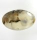 (image for) Good Price Beutiful Pattern Maligno Jasper 29,55 carat Oval Cabochon Cut Very Good Quality & Colour from Indonesia Purchase Now!