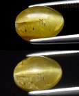 Bra Pris Mycket Fin Intressant Gul Grön Apatit Kattöga 3,11 carat Oval Cabochon Slipning från Afrika Köp Nu! (bild för) Bra Pris Mycket Fin Intressant Gul Grön Apatit Kattöga 3,11 carat Oval Cabochon Slipning från Afrika Köp Nu!