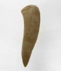 (bild för) Bra Pris Enchodus Fossil Fisktand 5,75 gram Uppskattat 100 milj år gammal från Sahara, Marocko Köp Nu!