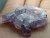 (image for) Good Price Parcel 8 pcs Purple Scapolite 51,87 carat Natural Crystal Transparent Nice Quality from Afganistan Purchase Now!