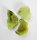 (image for) Good Price Parcel 3 pcs Uncut Brazil Chrysoberyl 7,04 carat Nice Colour Natural Crystal Purchase Now!
