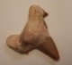 (bild för) Hajtand Fossil 57x50 mm och 20,90 gram