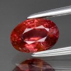 Bra Pris Mycket Sällsynt Padparadscha Safir 1,13 carat Oval Slipning Topp Lyster Fin Kvalitet från Sri Lanka Köp Nu! (bild för) Bra Pris Mycket Sällsynt Padparadscha Safir 1,13 carat Oval Slipning Topp Lyster Fin Kvalitet från Sri Lanka Köp Nu!