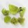 (image for) Good Price Parcel 6 pcs Uncut Brazil Chrysoberyl 7,90 carat Nice Colour Natural Crystal Purchase Now!