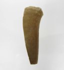 (bild för) Bra Pris Enchodus Fossil Fisktand 5,65 gram Uppskattat 100 milj år gammal från Sahara, Marocko Köp Nu!
