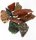 (image for) Good Price Parcel 10 pcs Rough Uncut Untreated Interesting Multicolour Mix Jasper 47 grams Natural Fragments Pieces Very Fine Quality & Color from Africa Buy Now!