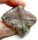 (image for) Good Price Tumbled Polished Genuine Chiastolite (Andalusite) 44,08 Gram Natural Clear Cross Pattern Interesting Collectors Stone from Brazil Purchase Now!