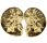 (image for) Good Price Very Beautiful Natural Artwork Fossil 2 pcs/1 pair Ammonite 151 gram Sawn Polished Half´s Interesting Exciting Collectible Item from Morocco Buy Now!